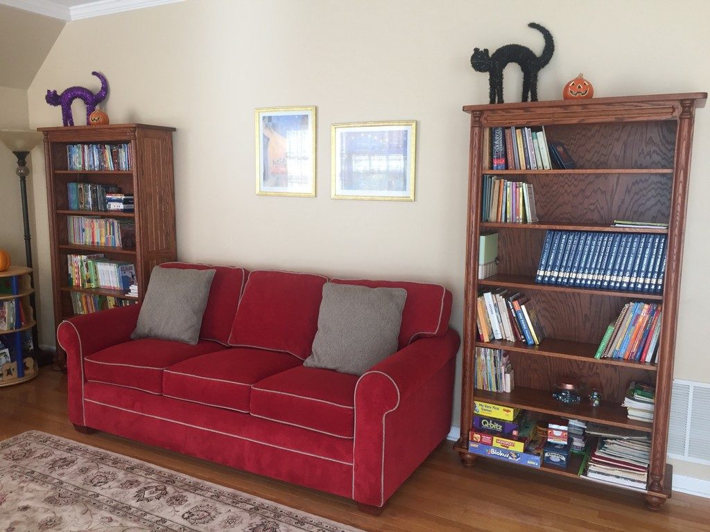 Two bookcases and a couch