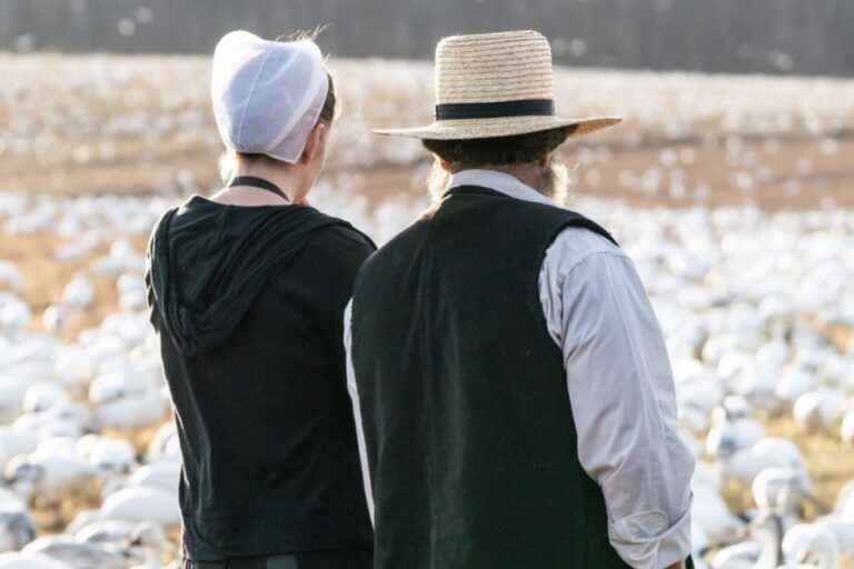 » Can Amish Divorce? The Amish Beliefs And Views On Marriage