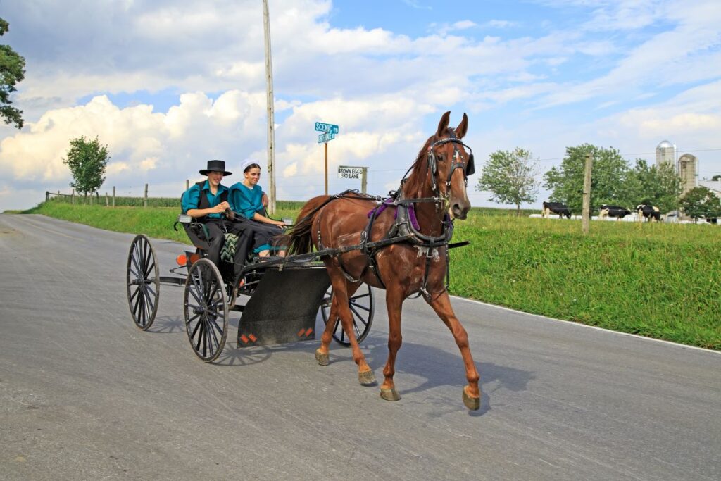 Amish man and woman riding a horse.