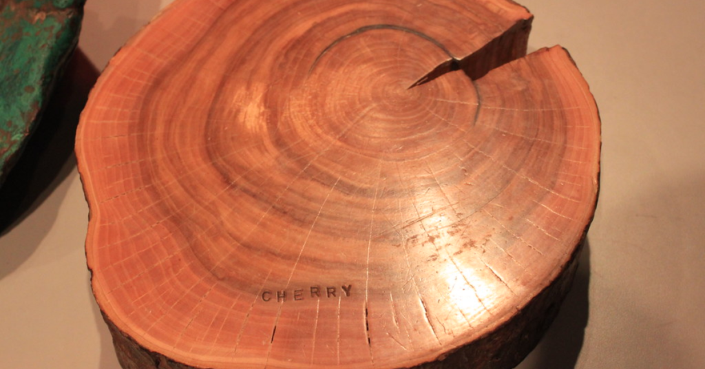 Log of cherry wood