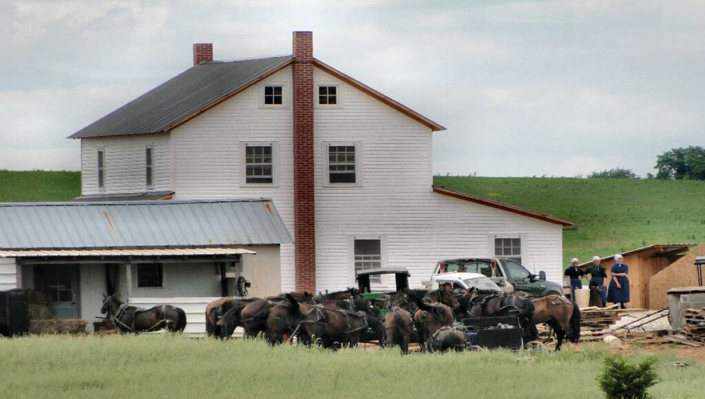 Amish house with horses outside