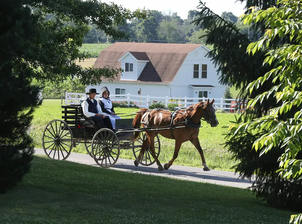An Amish man and Amish woman riding a horse in the countryside.