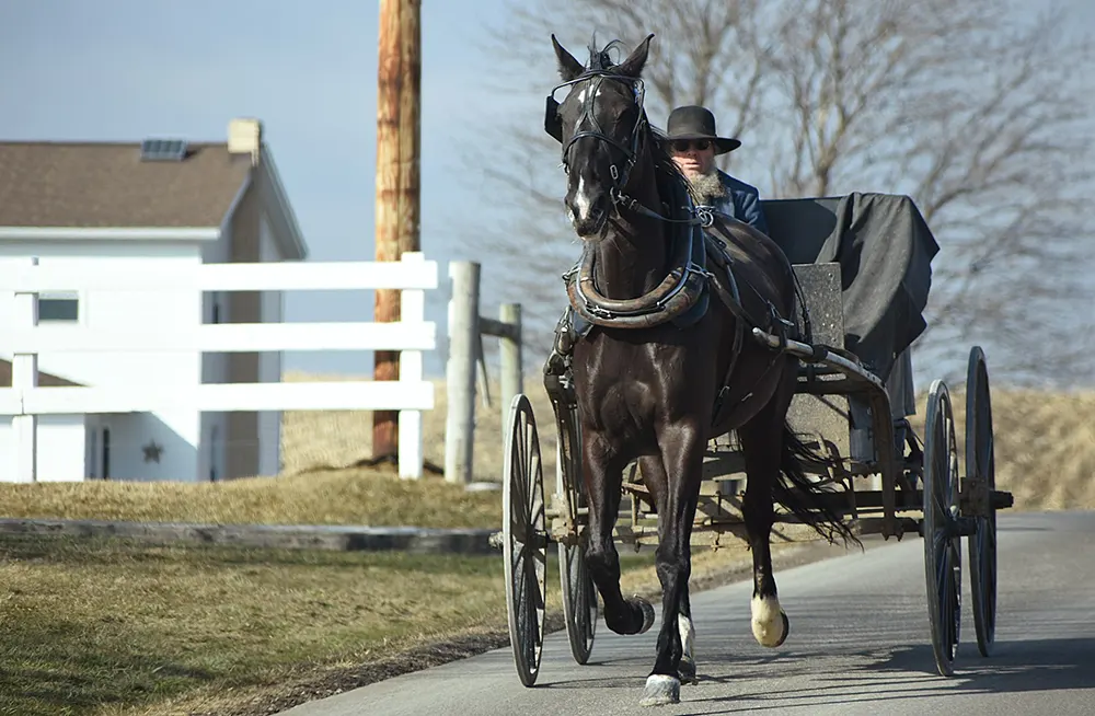 An Amish man riding a horse.