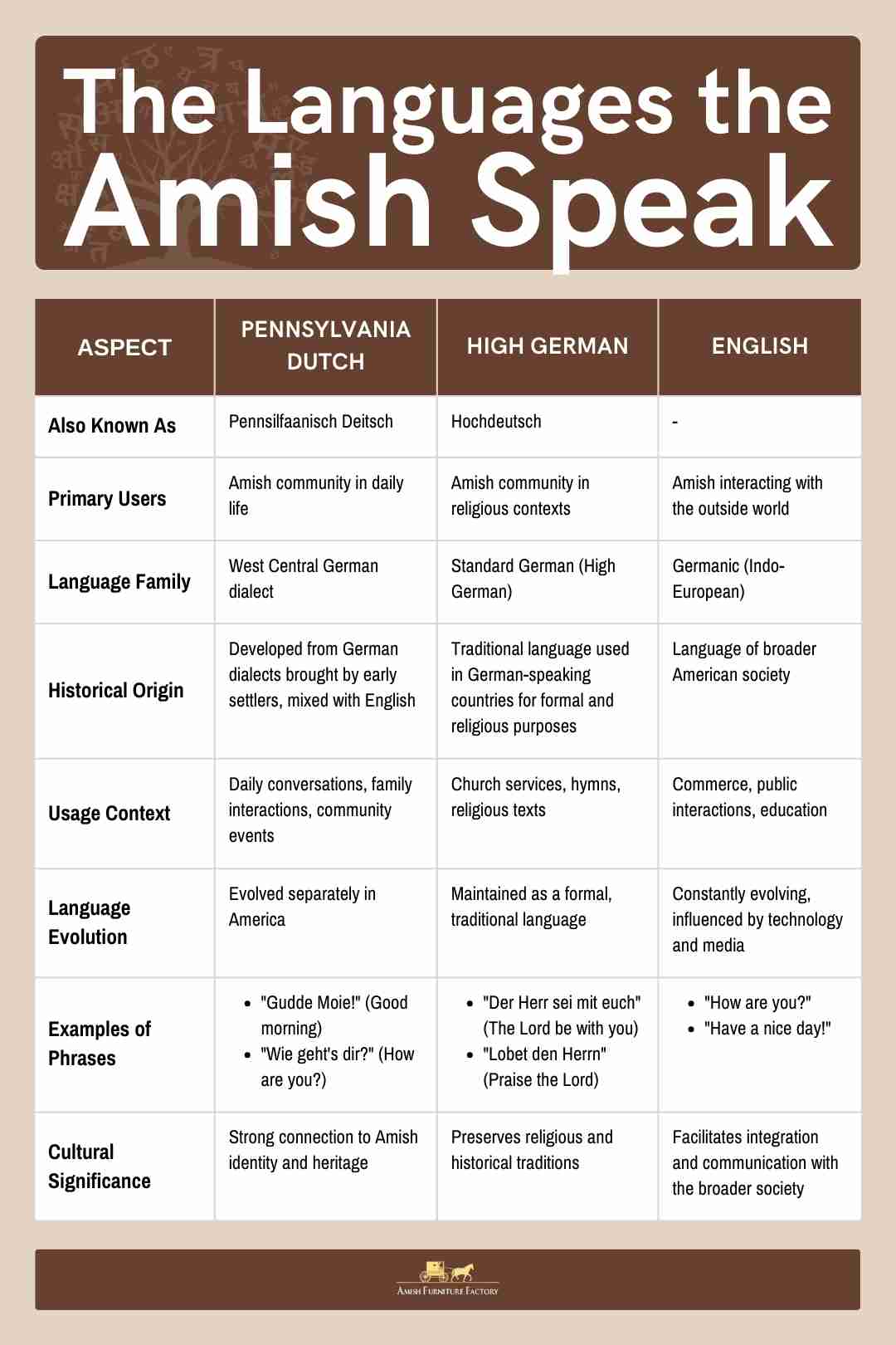 What Language Do the Amish Speak?