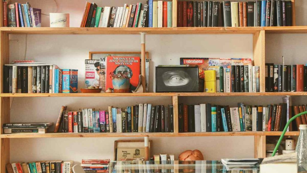 Books in solid wood bookcase