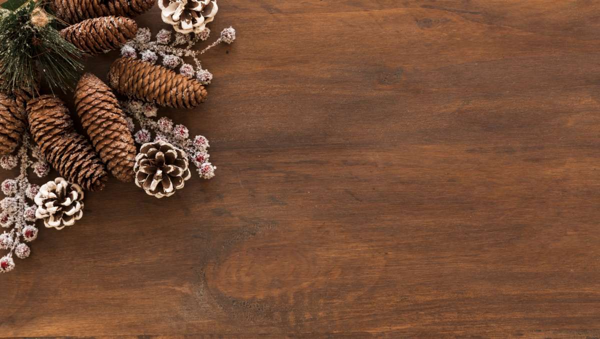 Pine wood and pine cones