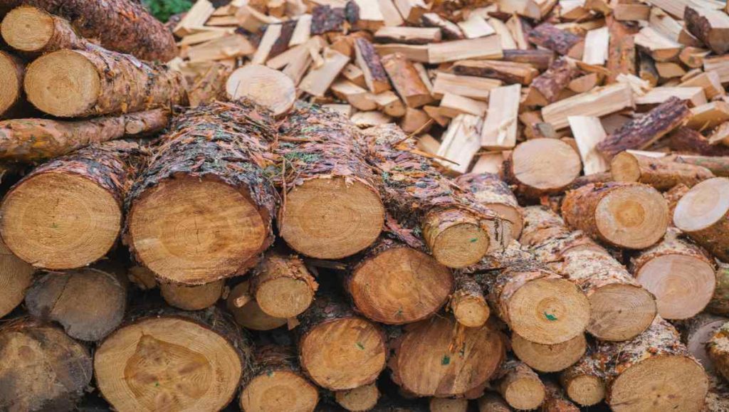 Pile of oak logs