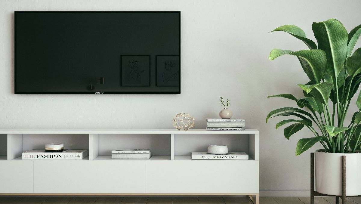 TV stand with storage and plants decor