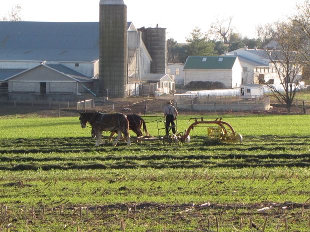 Interesting Facts About The Amish - Amish Furniture Factory