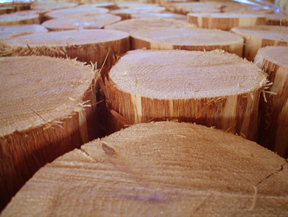  Hardwood vs Softwood: What's The Difference? - Amish Furniture Factory