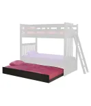 Kingston Bunk Bed with Trundel